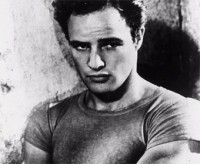 /album/photos/brando-2-jpg/